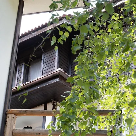 アパートホテル Borche Family Homes パンポロボ