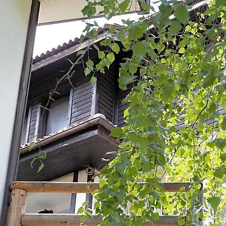 Ξενοδοχείο με διαμερίσματα Borche Family Homes 4*